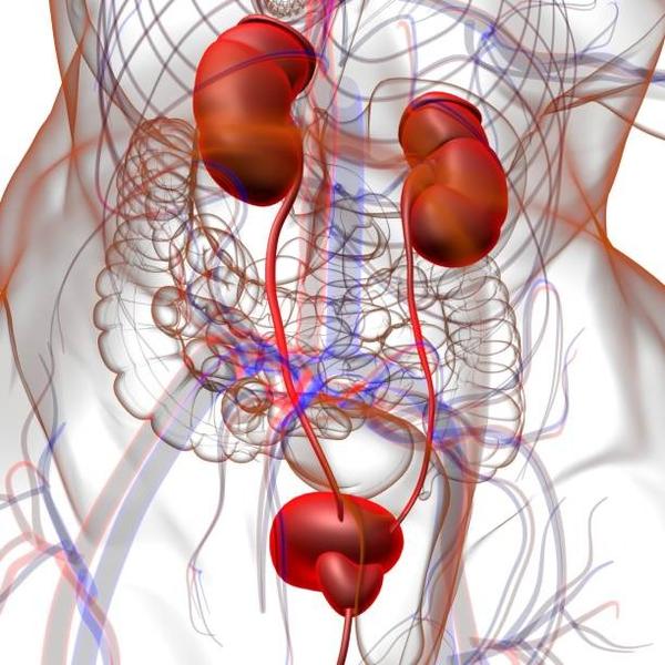 psa screening and surgical app