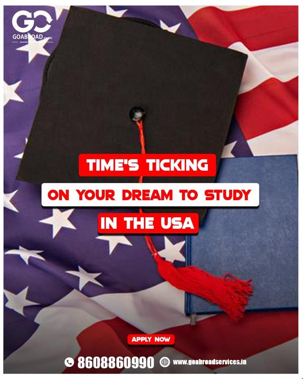 american higher education for