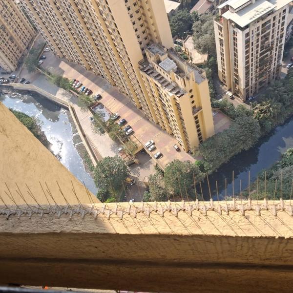 1. What is a Bird Net? A bird