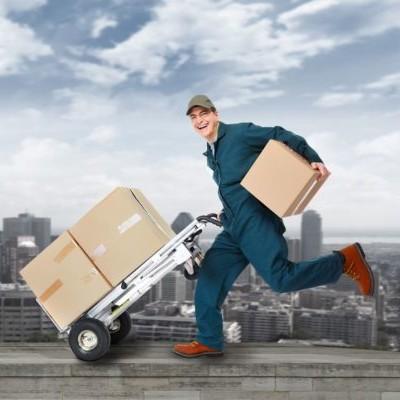 Domestic courier services in I