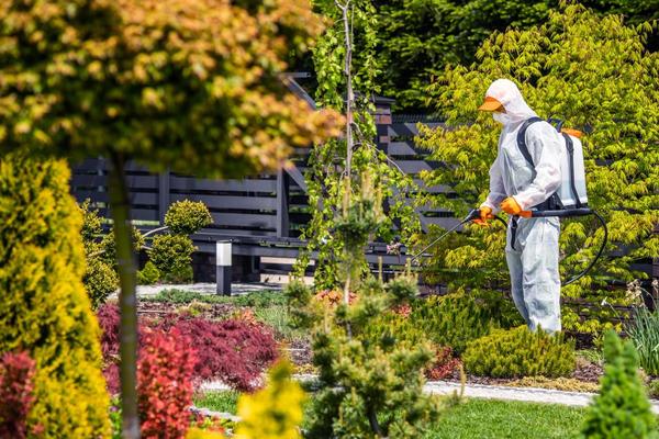 neem based garden pest treatme
