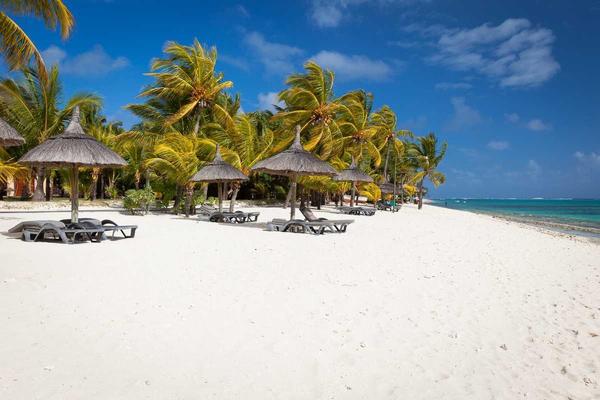 Things To Do In Mauritius

Le 