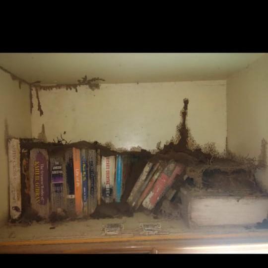 Protect your house contact me