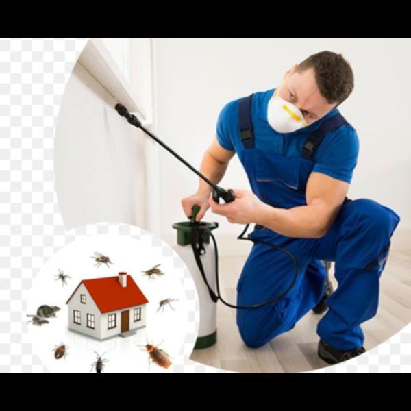 commercial and residential pes