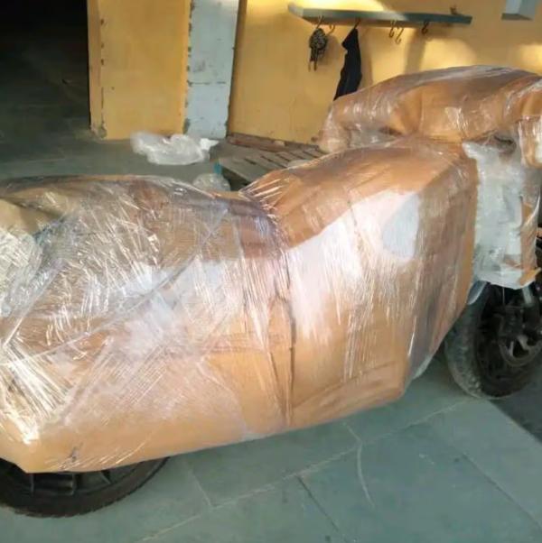 professional packers and mover