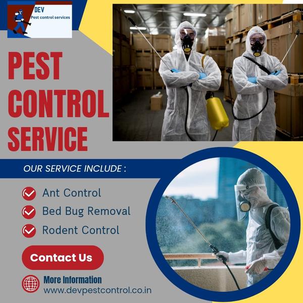 Say goodbye to unwanted pests with our professiona