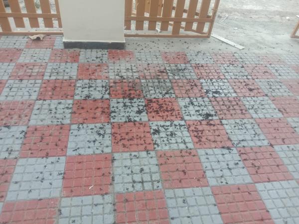 Mtp road goundampalayam coimba