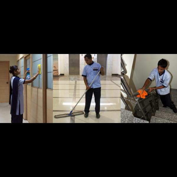 best cleaning companies in niz