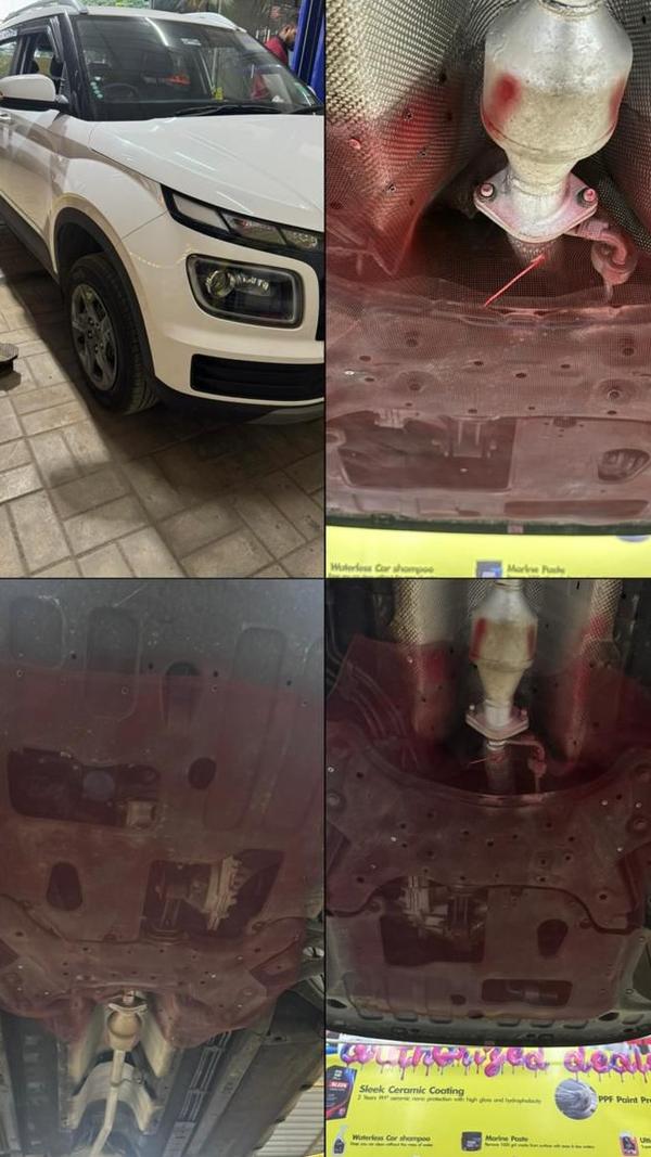 car rat mesh porur beejees car