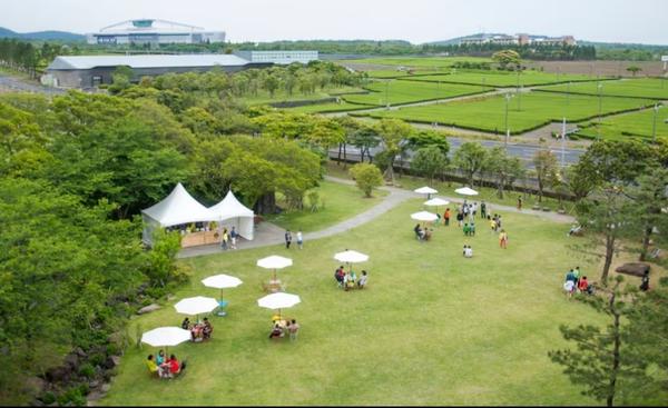 eco friendly resorts and cotta