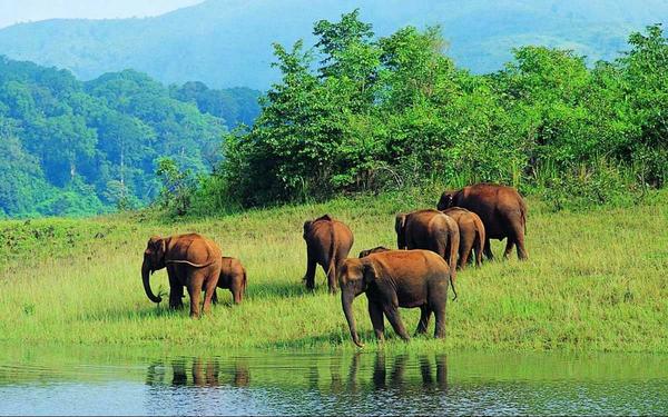 protected nature reserve