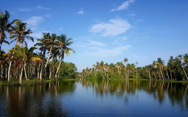 Tourist Places in Kerala

Poov
