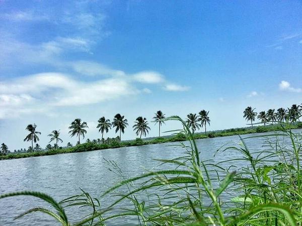 backwater village in kerala
