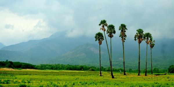 Tourist Places in Kerala

Pala