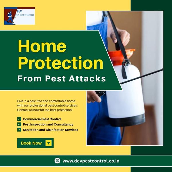 Bed Bug Pest Control Service – Book Now for a Bug
