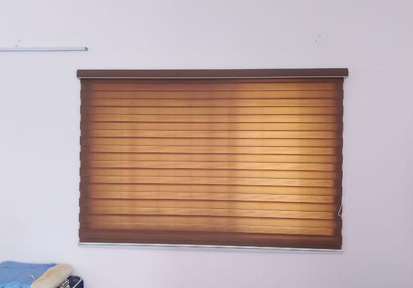Step into the Best Zebra Blind