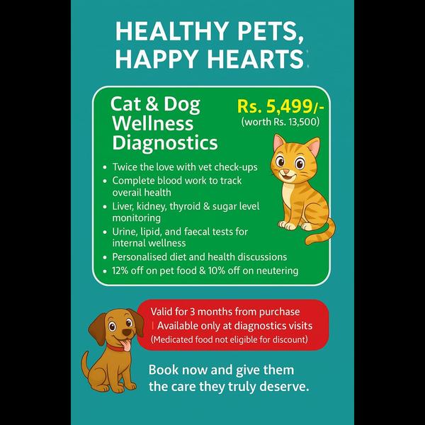 trusted animal hospital in kur