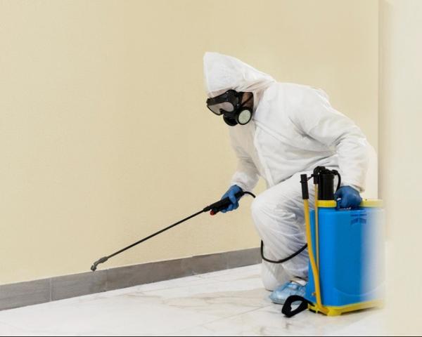 Looking for pest control servi