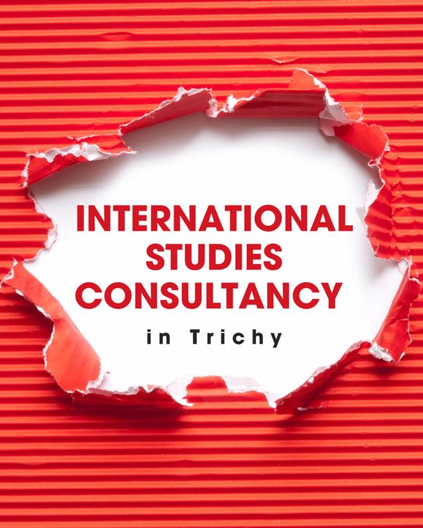 germany study abroad consultan