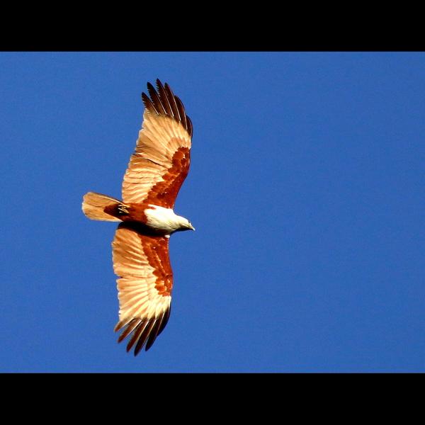 BEST PHOTOGRAPHY SCHOOL I