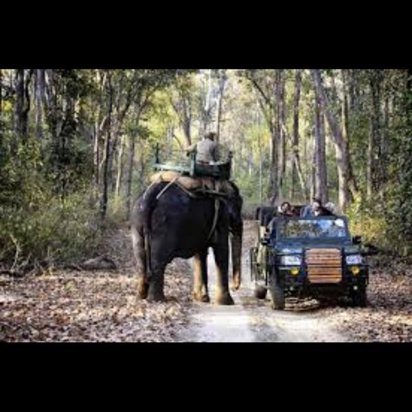 tourist attractions in madhya 