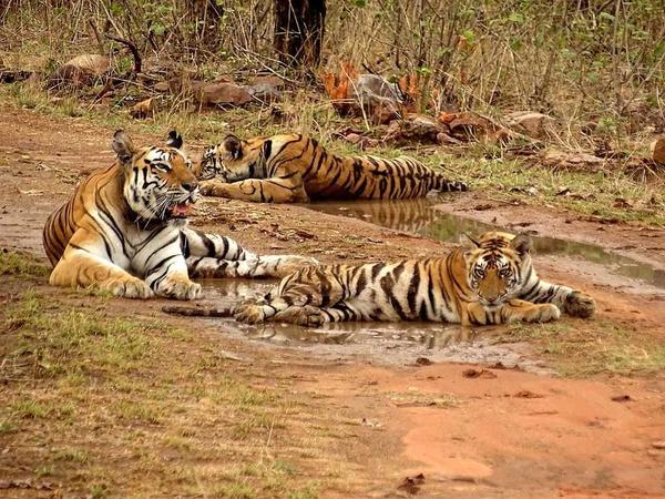 Tourist places in Madhya Prade