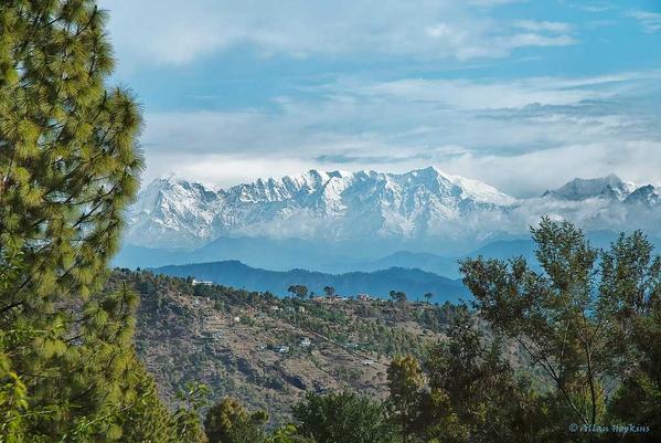 uttarakhand jageshwar