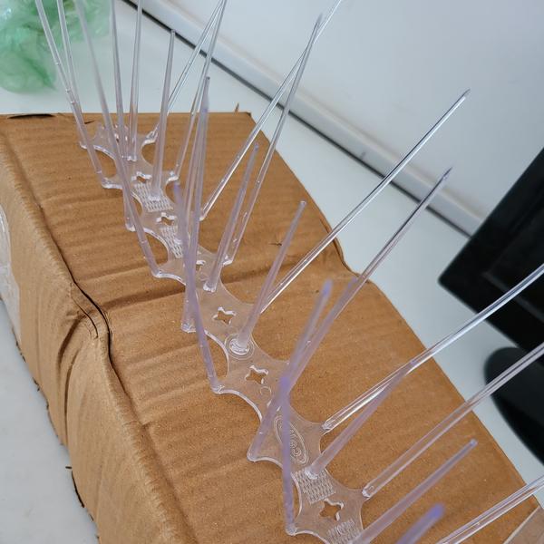 Best Polycarbonate Bird Spikes