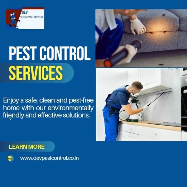 Say Goodbye to Pests – Book the Best Pest Control 
