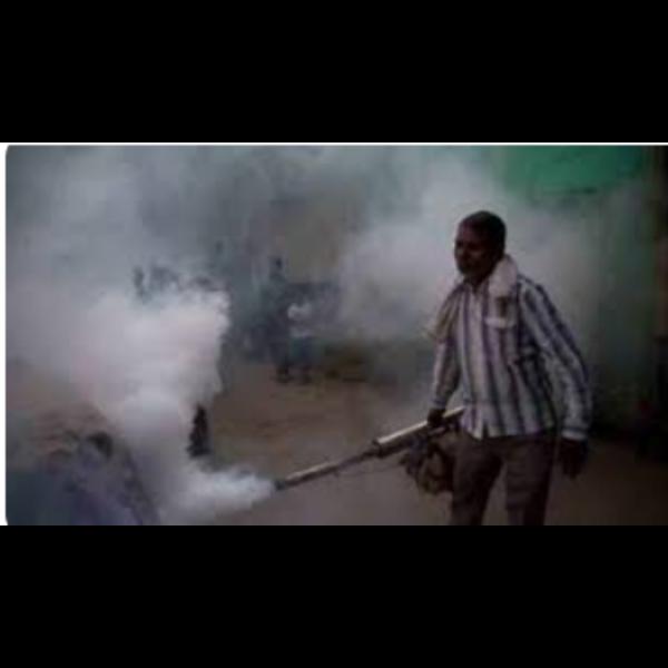 bedbug treatment and mosquito