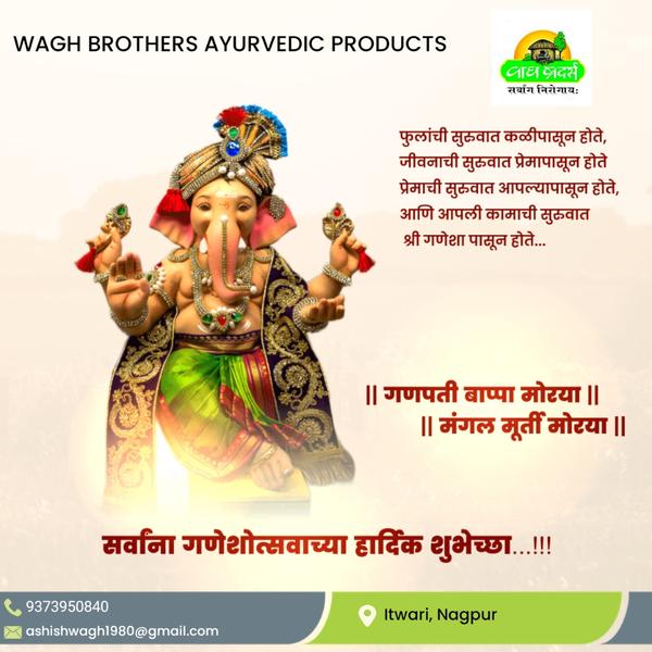 May Lord Ganesha remove all obstacles from your pa