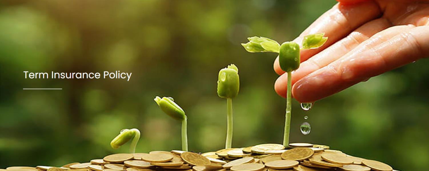 insurance based investment opt