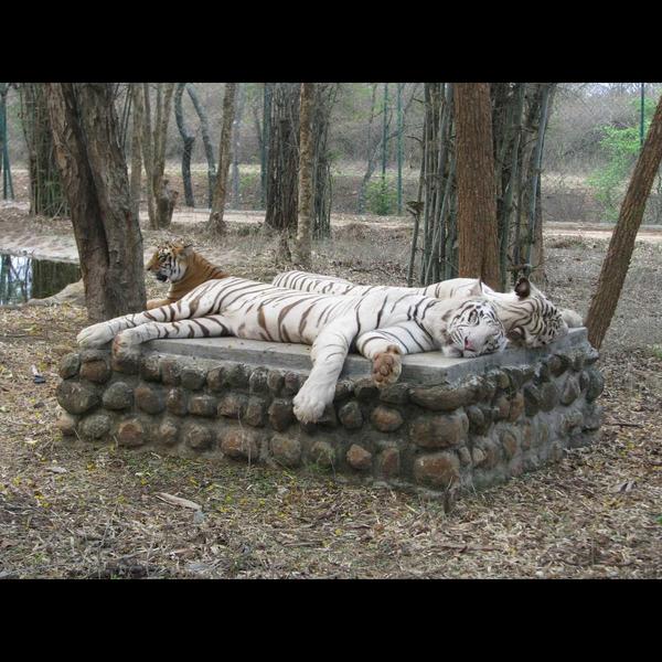 bangalore sightseeing attracti
