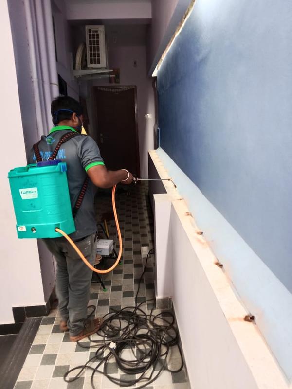 anti termite pest control serv