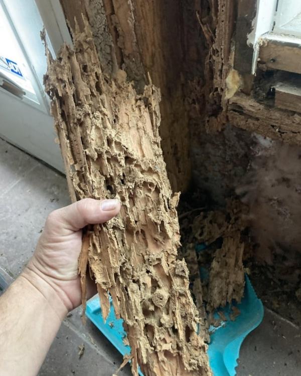 update image