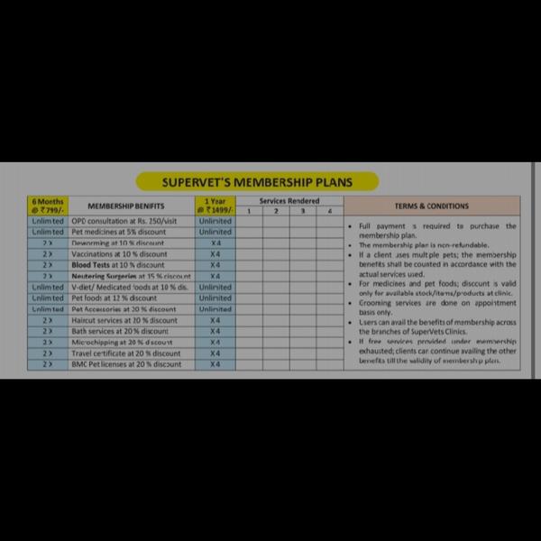 trusted animal hospital in kur