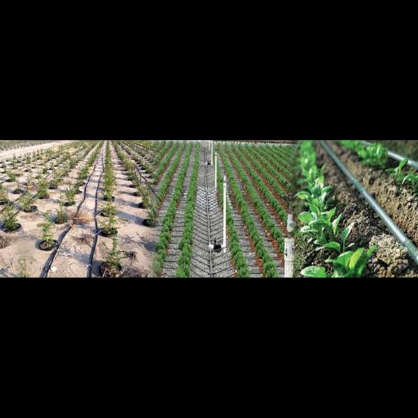 Drip irrigation  in Nagpur, Dr
