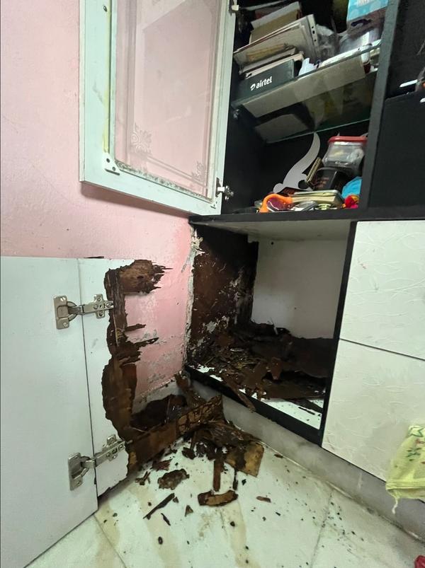 Summary: This kitchen cabinet