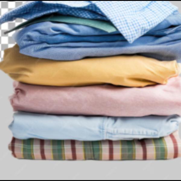 expert clothing pressing servi