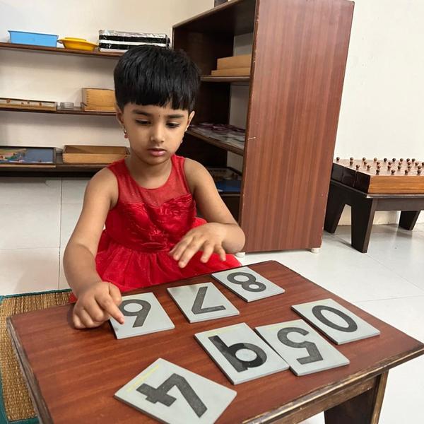 Our Toddler Community pro