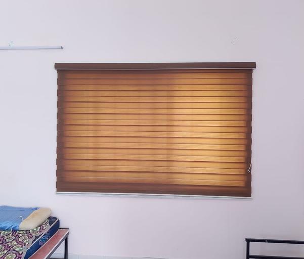professional zebra blind insta