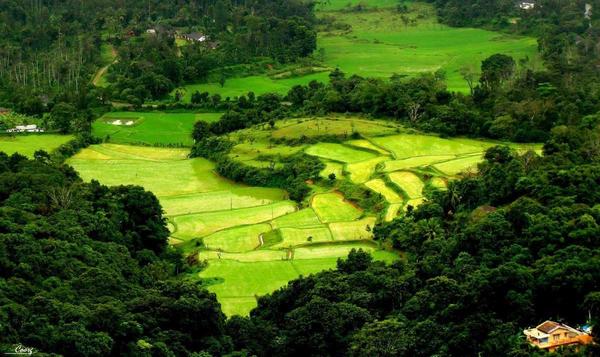 verdant green mountains