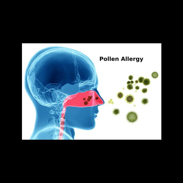 allergy desensitization treatm