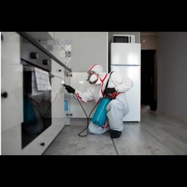 termite and cockroach treatmen