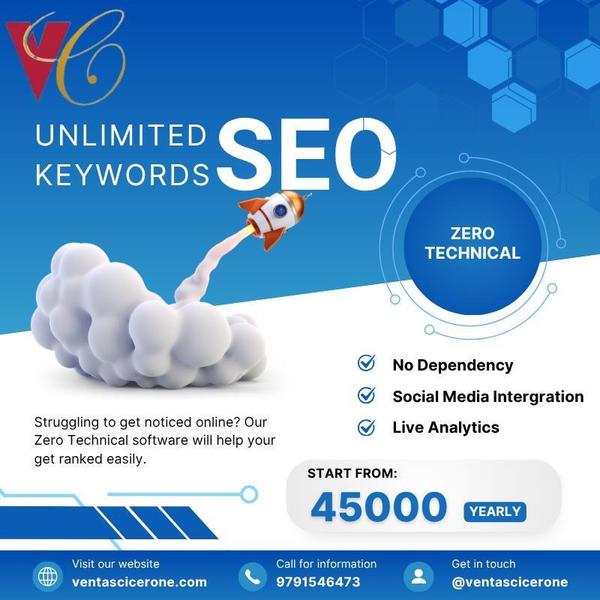 professional seo promotions sa