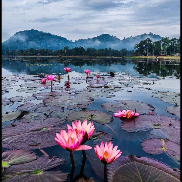 tourist places in assam jorhat