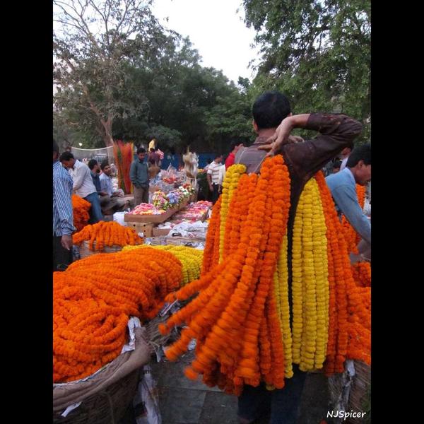 best tourist places in assam