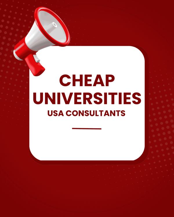 usa visa filing consultancy in