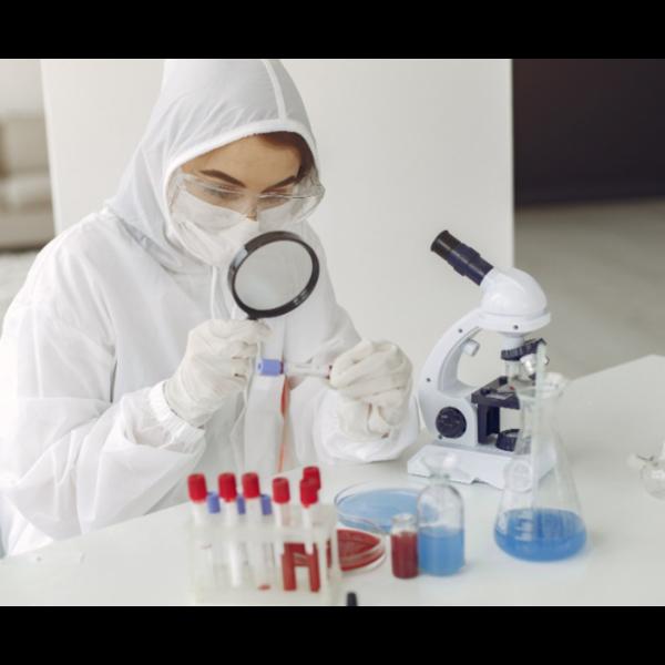 structured health checkup prog