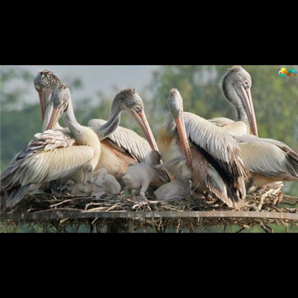 tourist places in kurnool andh